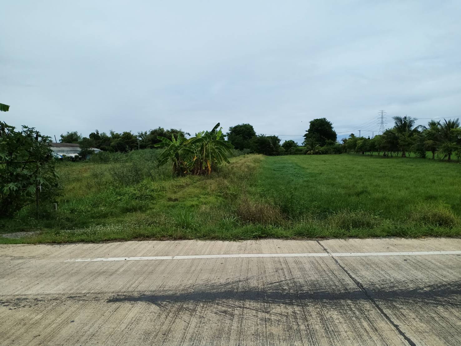 ขายที่ดินสีม่วง ต.ไทรใหญ่ นนทบุรี 7 ไร่ 78 ตร.วา ไร่ละ 2,700,000 บาท